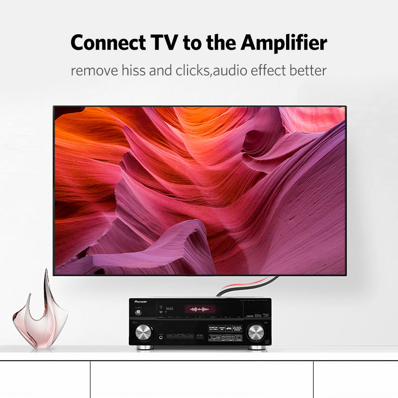 UGREEN-2RCA to 2 RCA Male to M - Home Cinema Unit 리뷰 및 가격